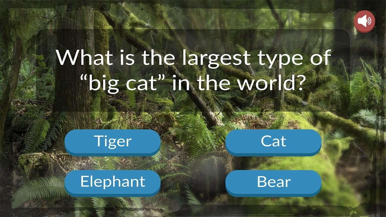 Animal Trivia